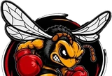 Intense Boxing bee logo